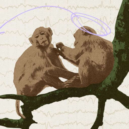 Two monkeys sit on a tree branch interacting, with brain diagrams and EEG waveforms in the background, one with a purple arrow pointing to its head.