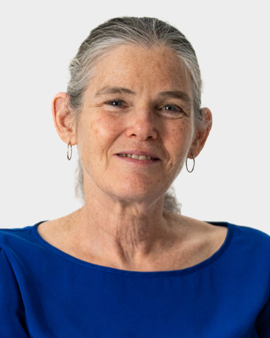 An older woman with gray hair tied back, wearing small hoop earrings and a blue top, looks at the camera and smiles slightly against a plain background.