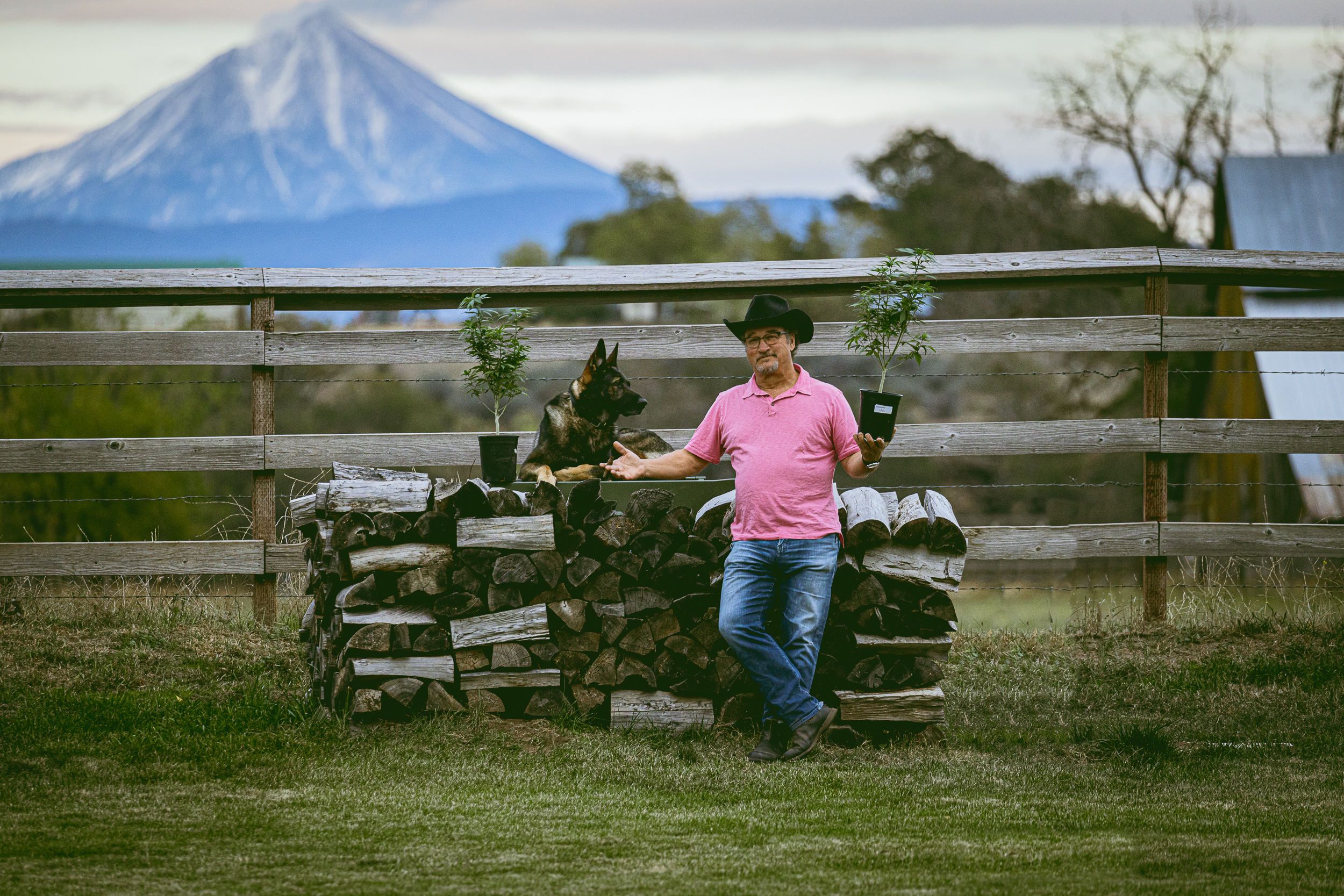 A man in a pink shirt and cowboy hat leans against a woodpile with a dog, holding a small plant pot; a snow-capped mountain is visible in the background.