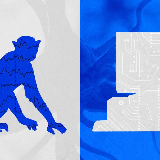 A silhouette of a monkey with brainwave patterns is shown beside a stylized computer, divided by a vertical line on a blue and gray background.