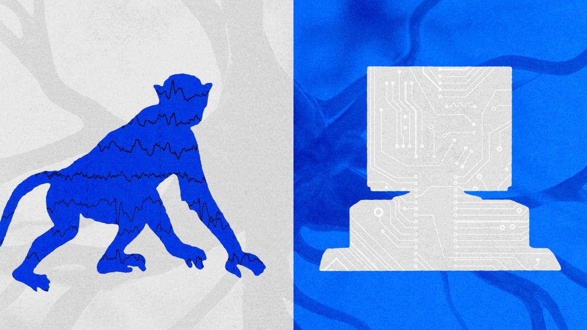 A silhouette of a monkey with brainwave patterns is shown beside a stylized computer, divided by a vertical line on a blue and gray background.