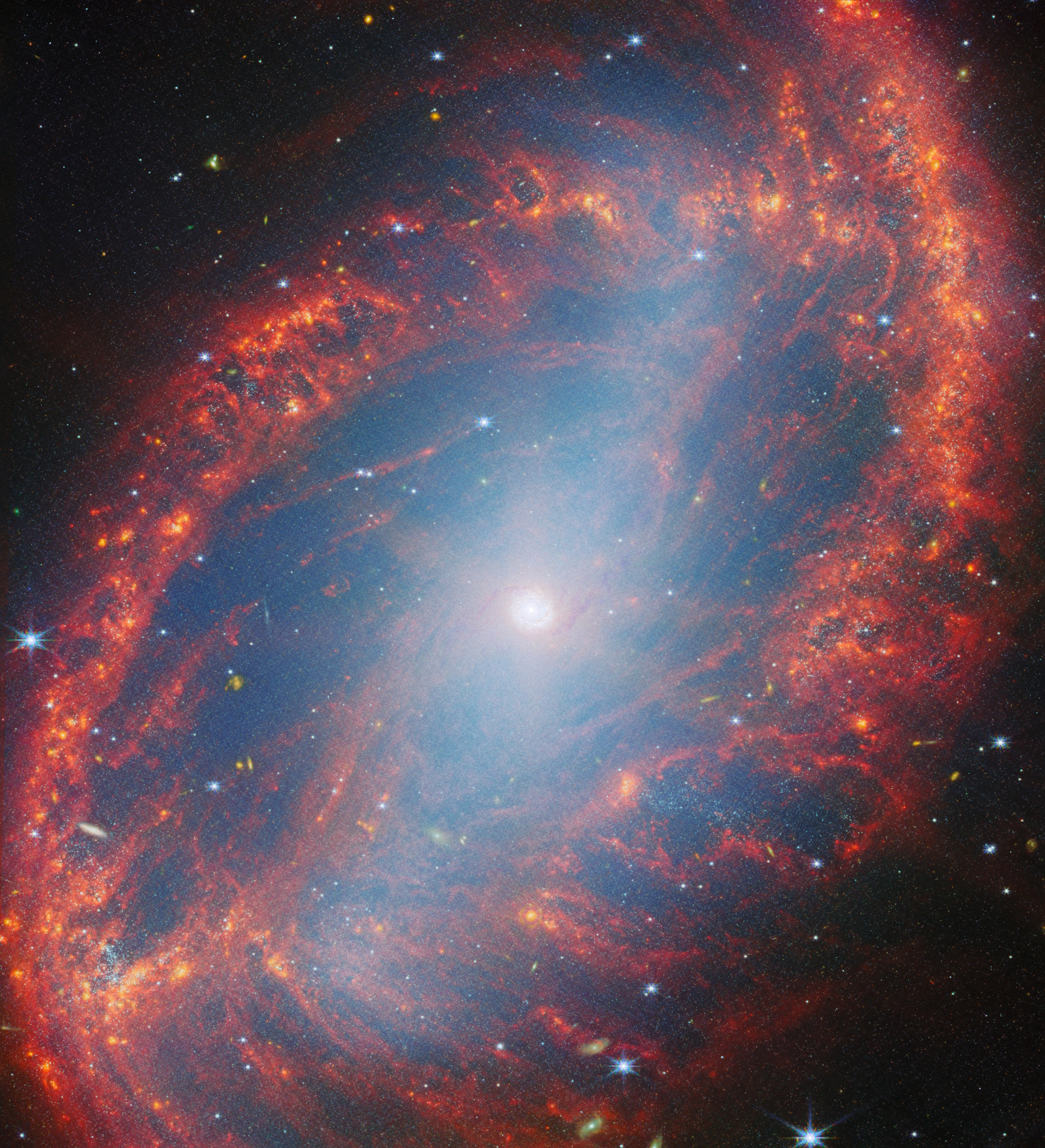 A spiral galaxy with a bright central core and reddish-orange dust lanes forming a ring structure, surrounded by stars against dark space&mdash;a stunning scene that the JWST reveal brings vividly to our universe.