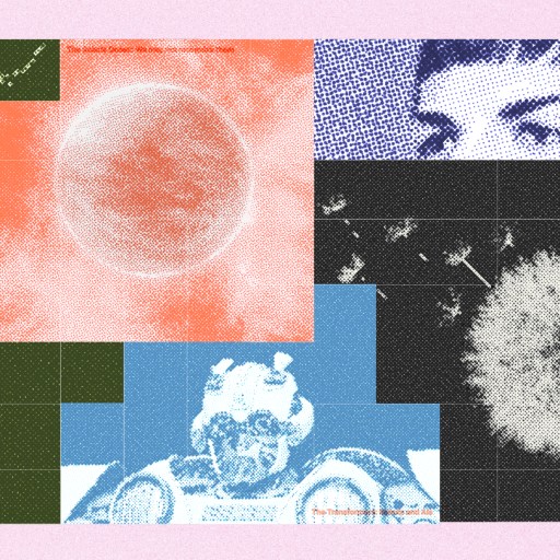 A collage of scientific and space-themed images, featuring an insect, a planet, a human face, a robot, dandelion, star charts, and hints of aliens—all in varied colors and textures.