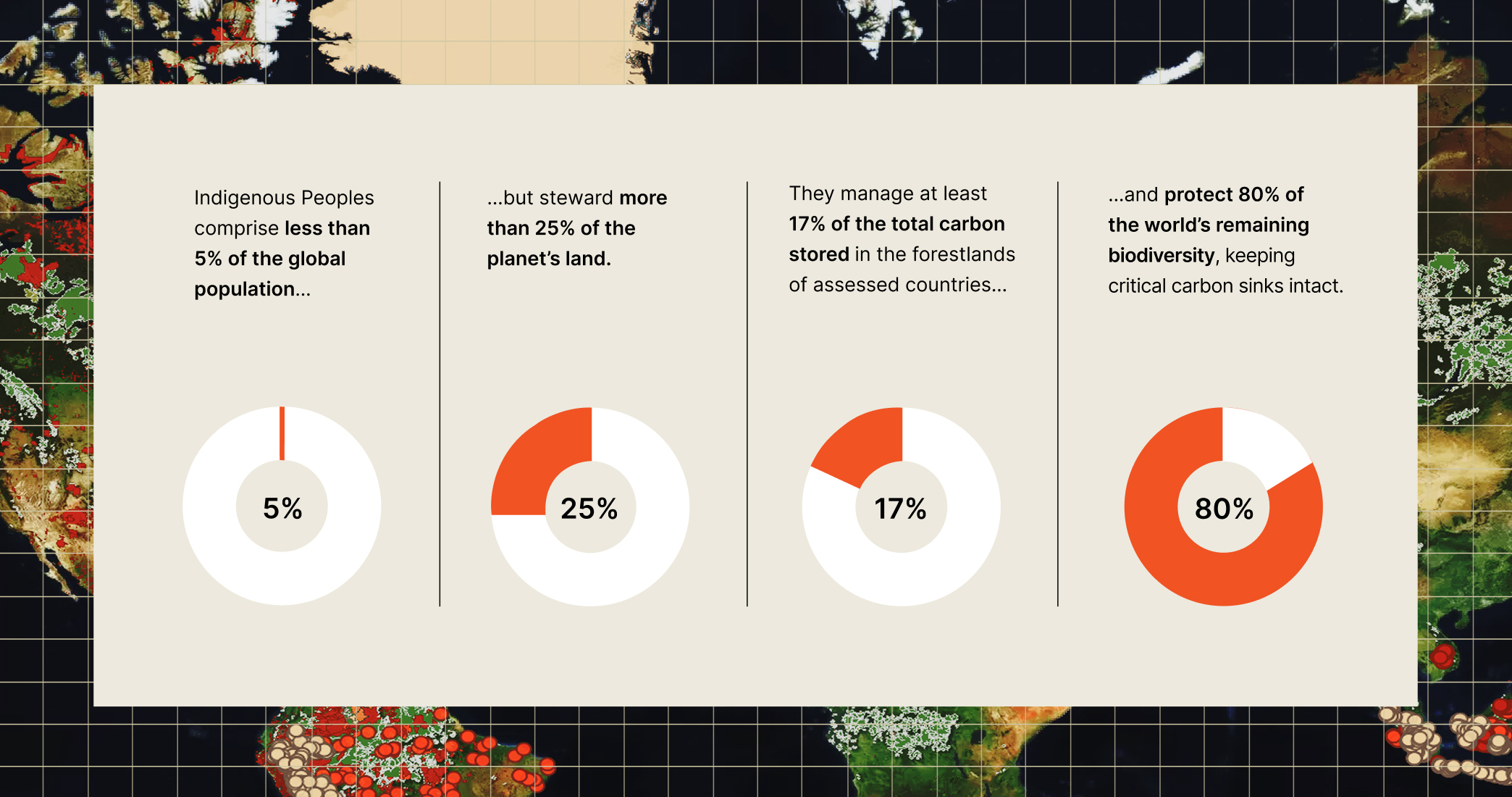 Infographic showing Indigenous Peoples comprise 5% of the population, manage 25% of land, store 17% of carbon, and protect 80% of biodiversity.