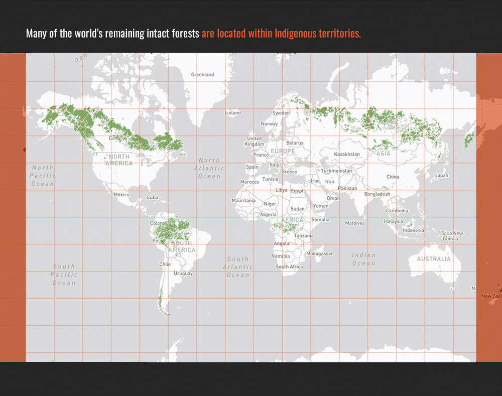World map showing in green the areas of remaining intact forests, many of which overlap with Indigenous territories, as stated in the image&rsquo;s caption.