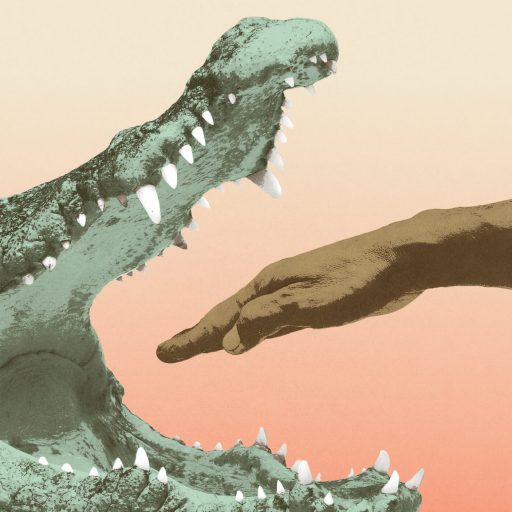 A person's hand stupidly reaches toward the open mouth of a crocodile with visible sharp teeth against a gradient background.