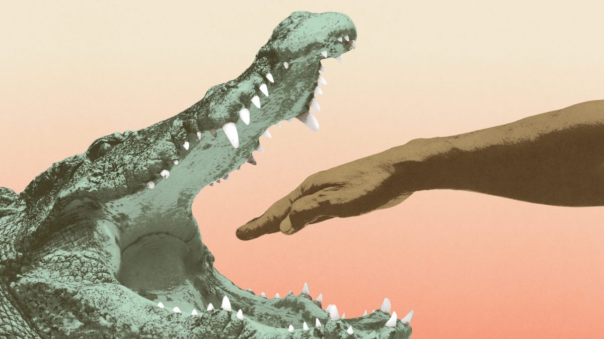 A person's hand stupidly reaches toward the open mouth of a crocodile with visible sharp teeth against a gradient background.