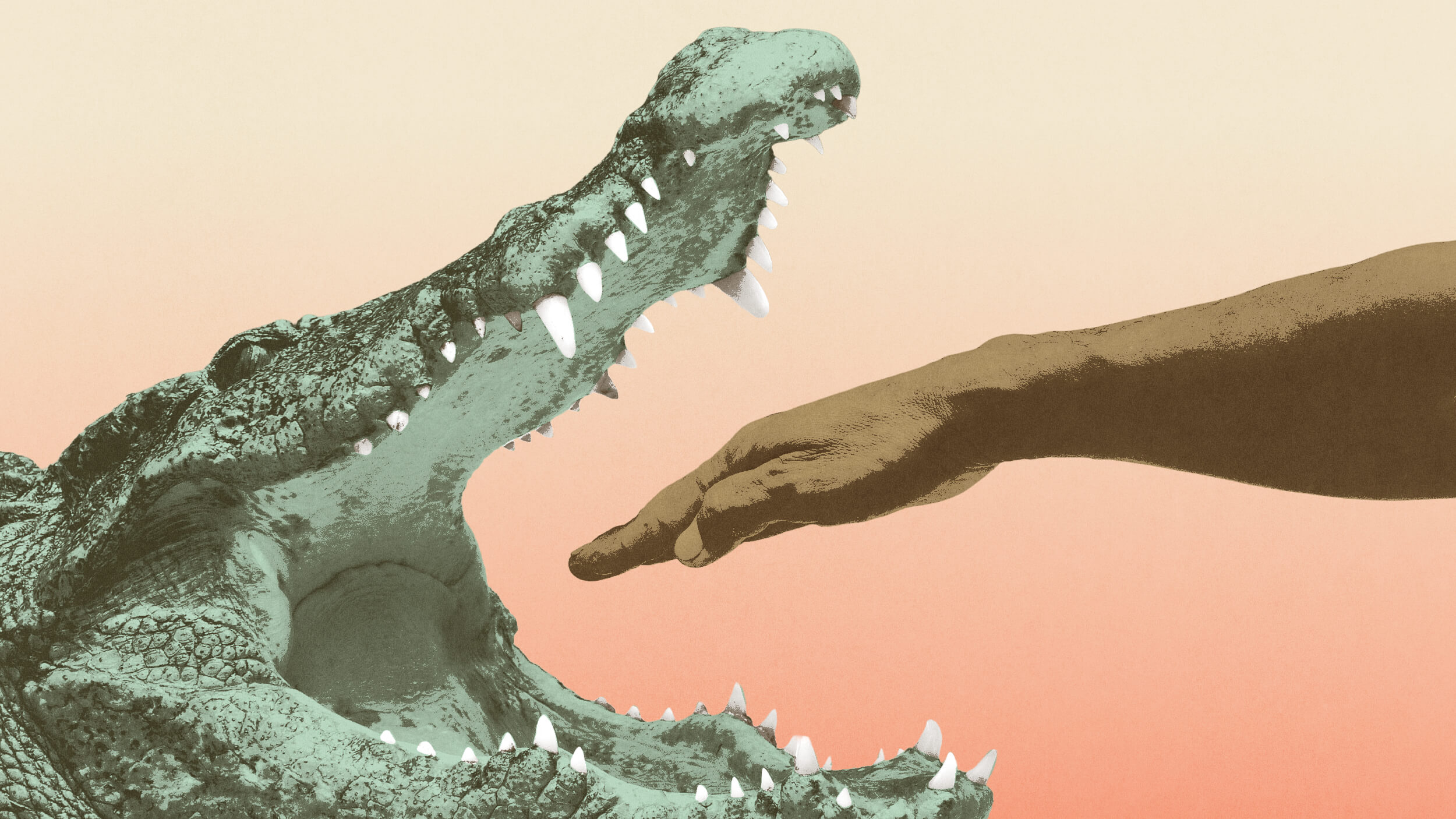 A person's hand stupidly reaches toward the open mouth of a crocodile with visible sharp teeth against a gradient background.