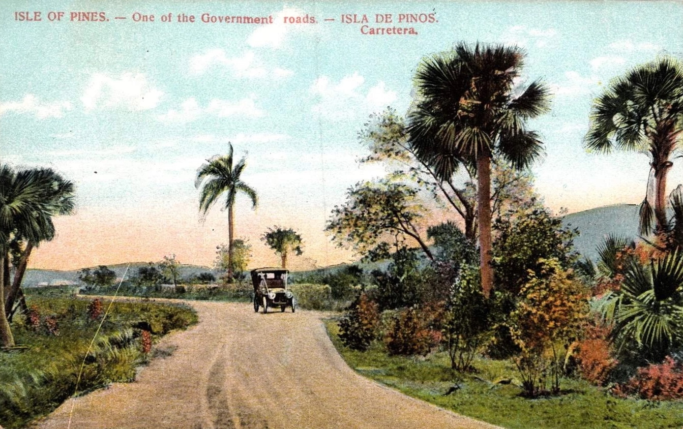 Vintage postcard showing a dirt road with an early 20th-century car surrounded by palm trees and shrubs, labeled &ldquo;Isle of Pines &mdash; One of the Government roads.&rdquo;.