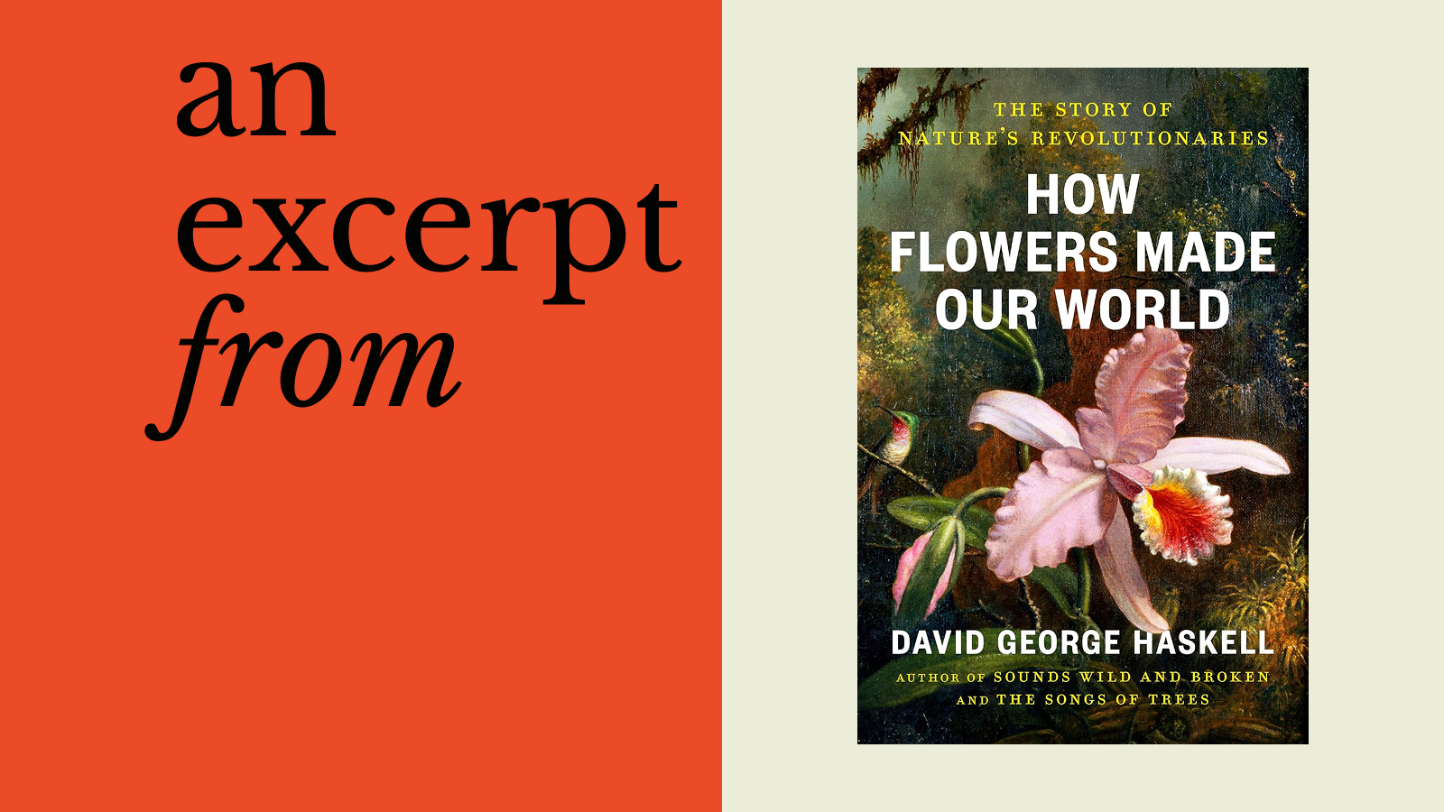 Book cover for "How Flowers Made Our World" by David George Haskell, featuring an orchid, next to text reading "an excerpt from" on an orange background.
