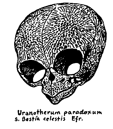 Black and white drawing of a skull with large eye sockets and a textured surface, inspired by speculative evolution, labeled "Uranotherum paradoxum s. Bestia celestis Efr." at the bottom.