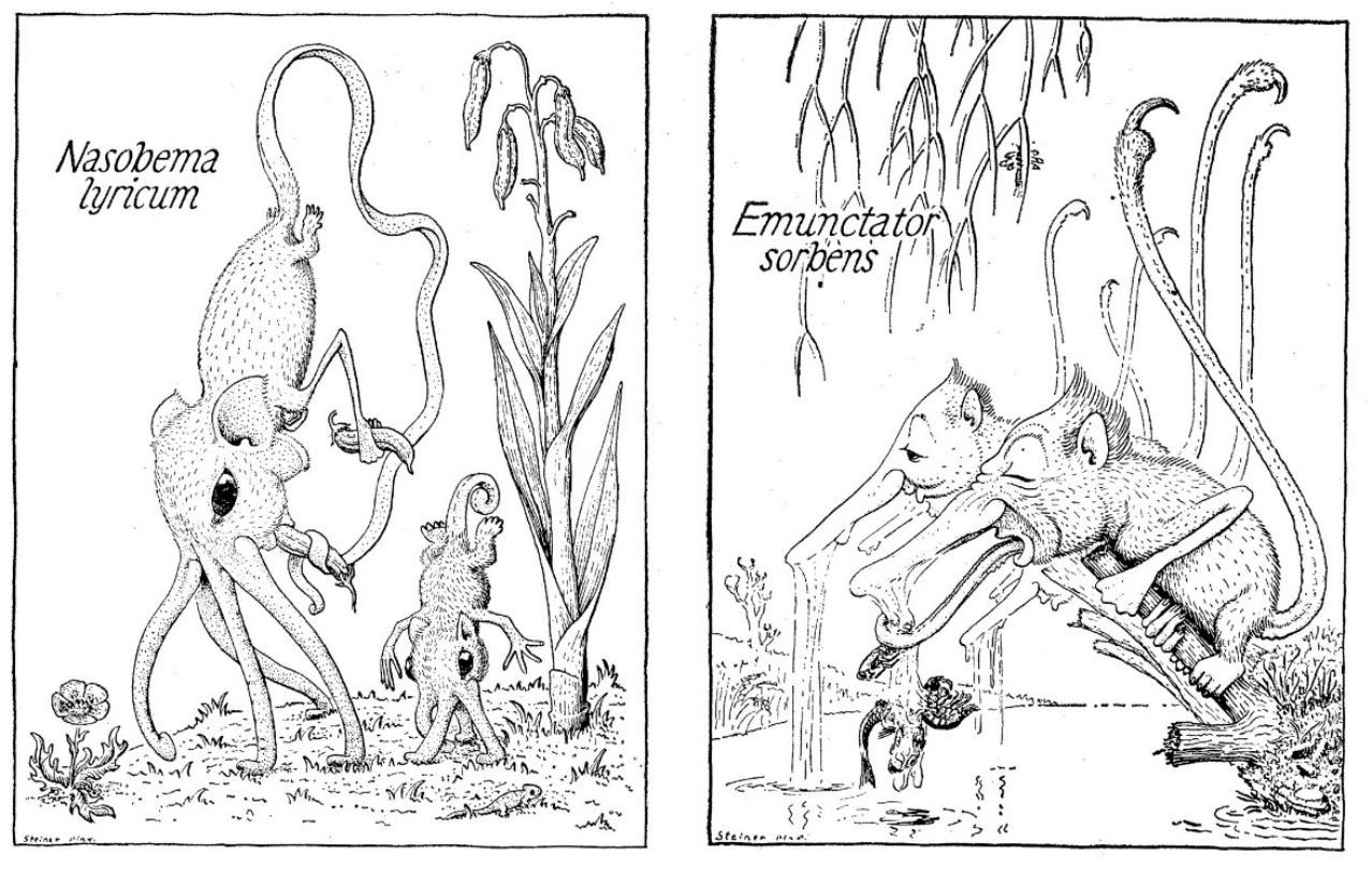 Two panels illustrate speculative evolution with fantastical creatures: a tentacled "Nasobema lyricum" and a multi-trunked "Emunctator sorbens" interacting with smaller animals.