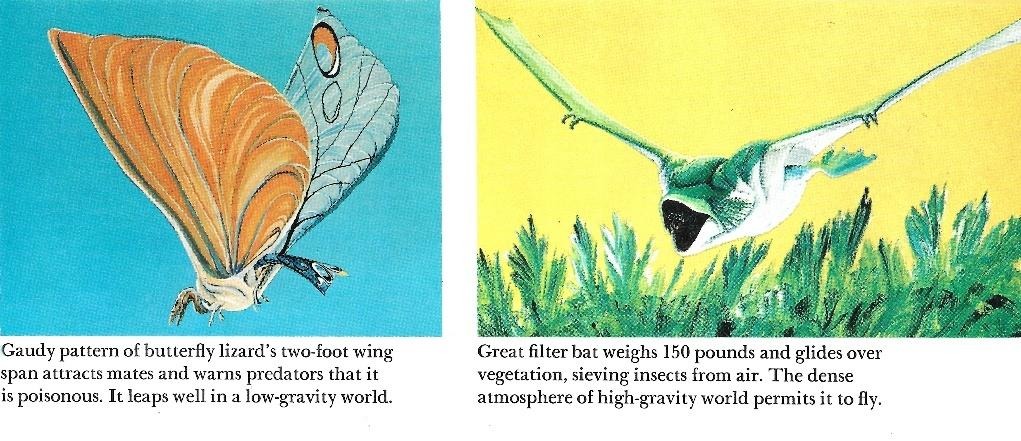 Two illustrated fantasy creatures from speculative evolution: a butterfly lizard with large orange-and-blue wings, and a green great filter bat soaring above dense green foliage.