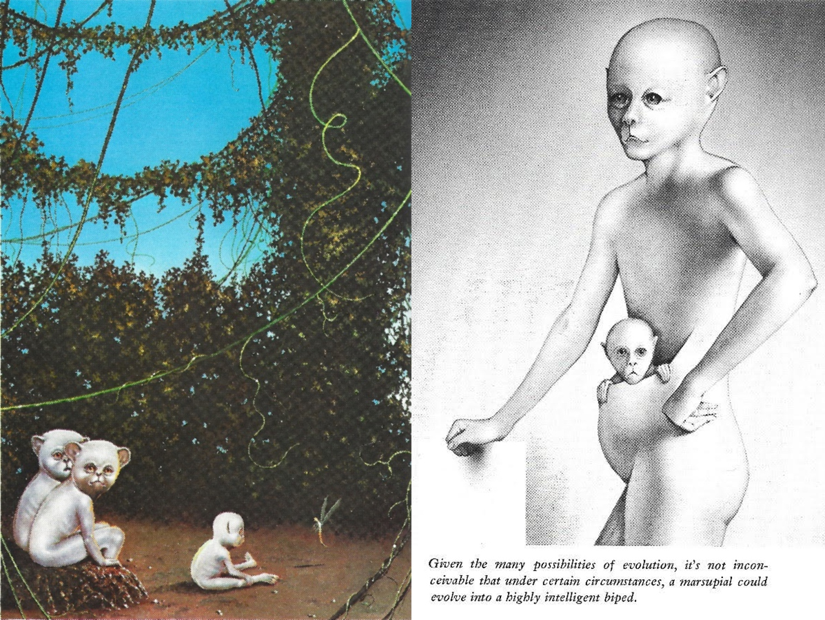 Two illustrated images explore speculative evolution: left, three white, large-eyed creatures sit in a forest; right, a humanoid figure with a similar creature emerges from its abdomen. The text discusses evolutionary themes.