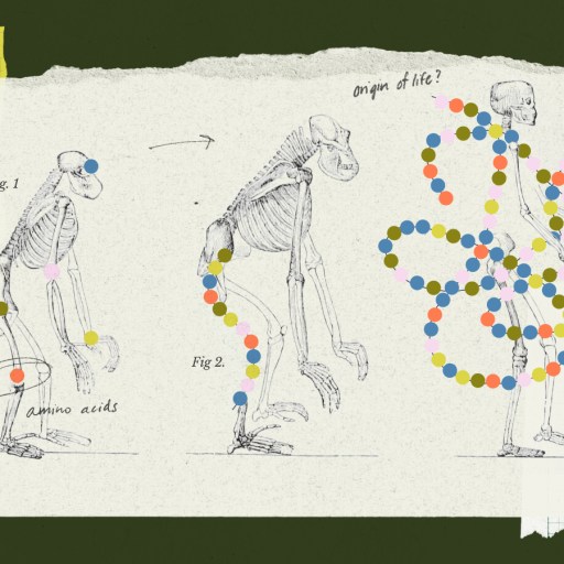 Illustration of ape to human evolution with skeletal figures, labeled amino acids, and colorful dots representing molecular structures, highlighting metabolism and the origin of life on Earth.