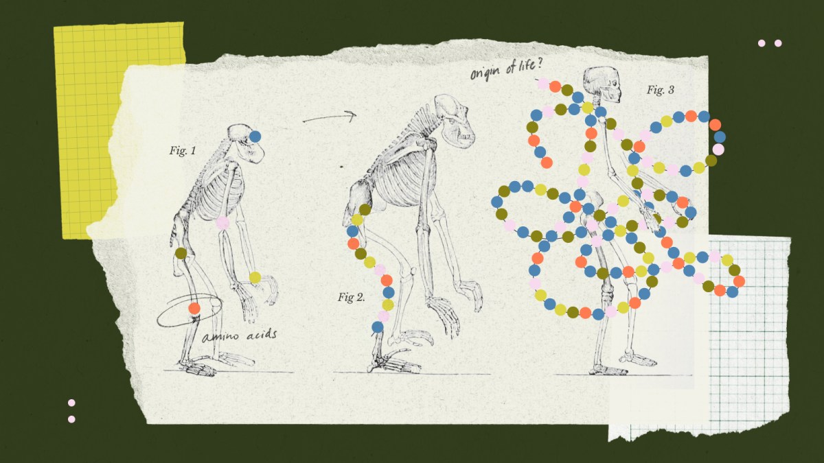 Illustration of ape to human evolution with skeletal figures, labeled amino acids, and colorful dots representing molecular structures, highlighting metabolism and the origin of life on Earth.