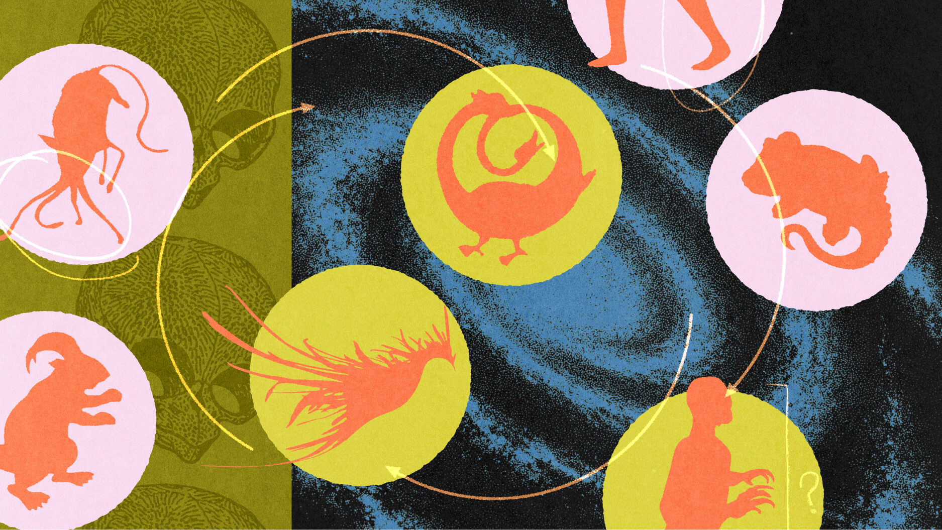 Illustration of various animal and human silhouettes in colored circles connected by arrows, set against a textured abstract background, evoking themes of speculative evolution.