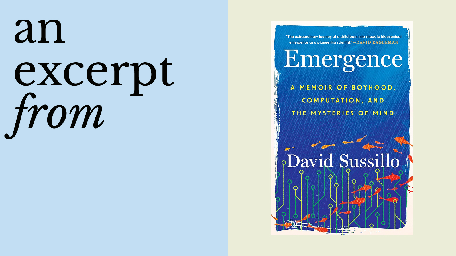 Book cover of "Emergence: A Memoir of Boyhood, Computation, and the Mysteries of Mind" by David Sussillo, with circuitry and fish graphics, next to text reading “an excerpt from.”.