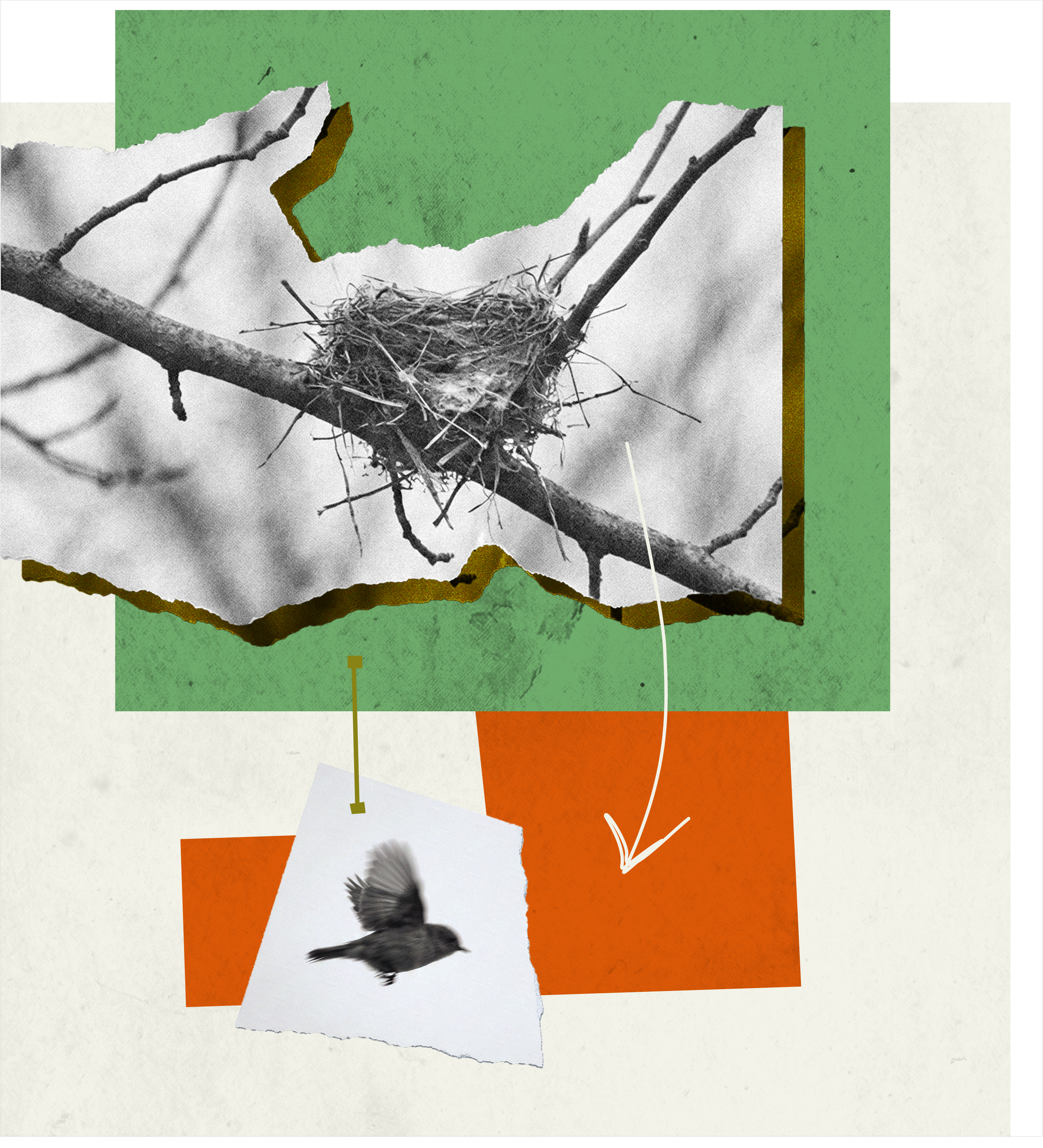 A black-and-white photo of a bird's nest on a branch is paired with a flying bird, both set against green and orange shapes with white arrows&mdash;symbolizing reasonable childhood independence as young ones prepare to leave the nest.