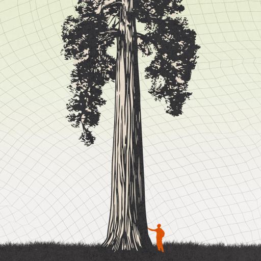 A small human figure stands at the base of a very tall tree, emphasizing the tree’s large size against a background with faint grid lines.