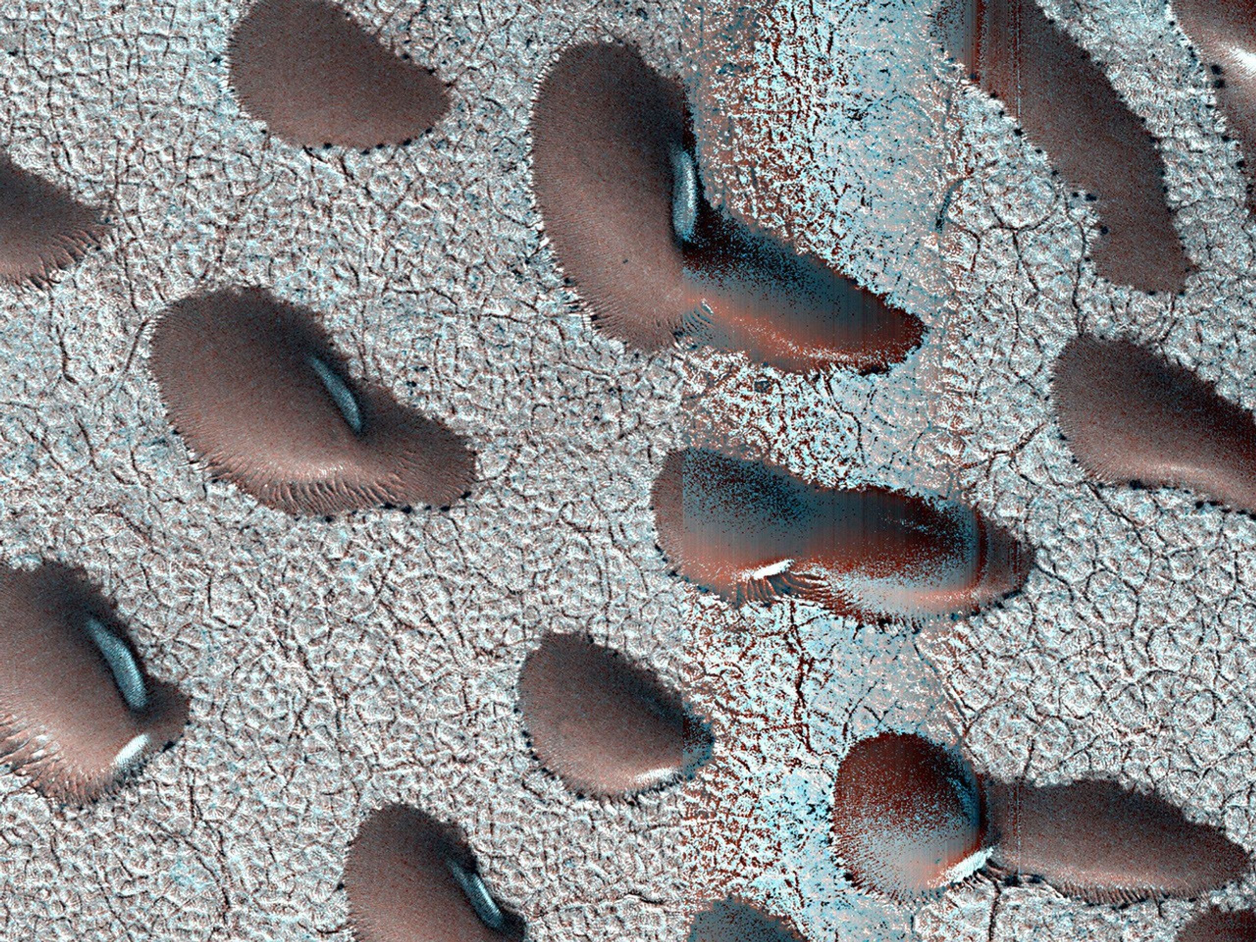 Aerial view of crescent-shaped sand dunes scattered across a cracked, icy surface.