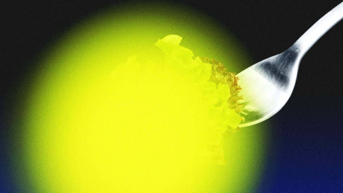 A fork holds a piece of lettuce, partially obscured by a bright yellow glow against a dark background.