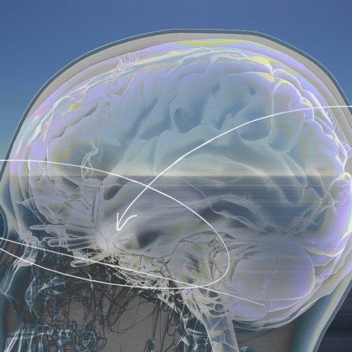 Digital illustration of a human head in profile showing a translucent brain with layered neural pathways, set against a blue gradient background.