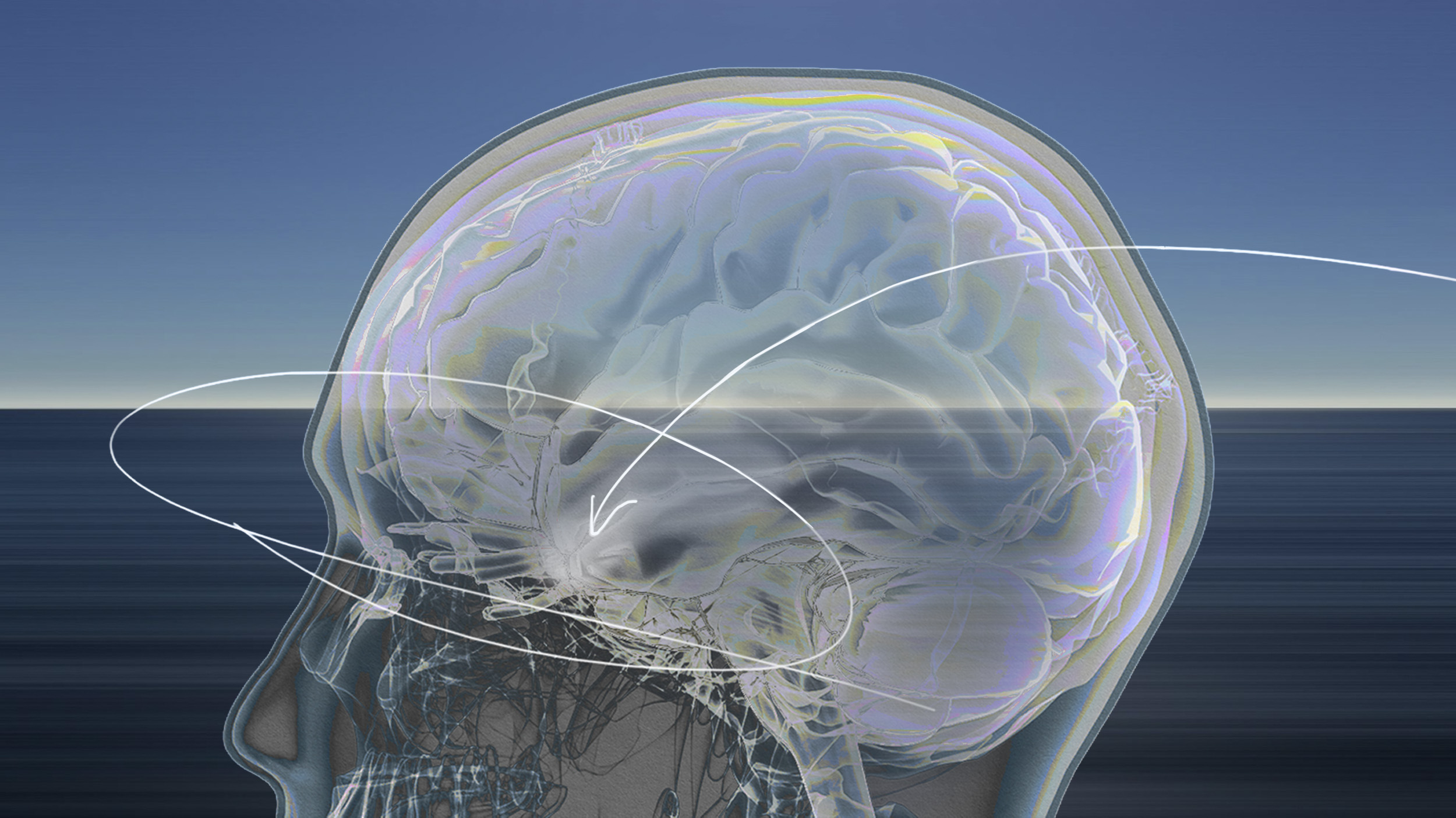 Digital illustration of a human head in profile showing a translucent brain with layered neural pathways, set against a blue gradient background.