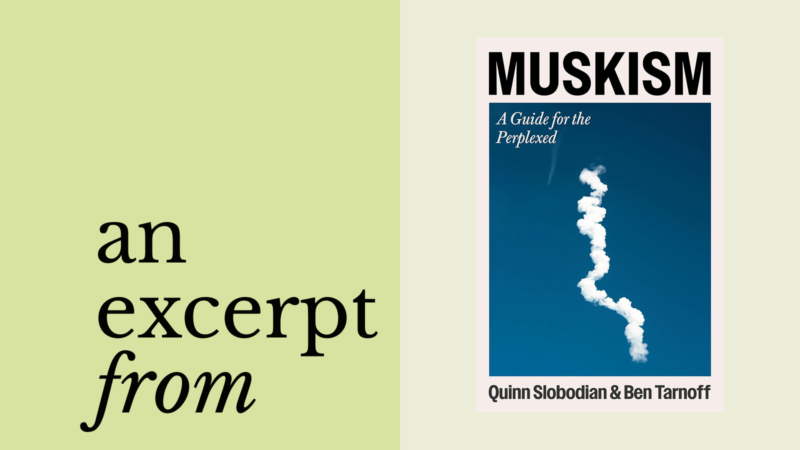 The left side reads "an excerpt from" on a light green background; the right displays the "Muskism: A Guide for the Perplexed" book cover, featuring white smoke rising against a blue sky.
