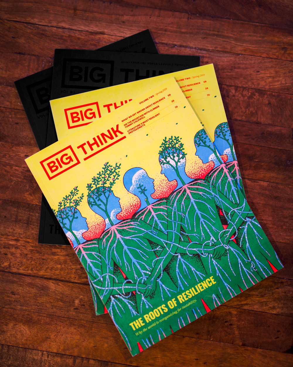 A stack of "BIG THINK" magazines titled "The Roots of Resilience," featuring an illustration of people connected by tree roots on a wooden surface.