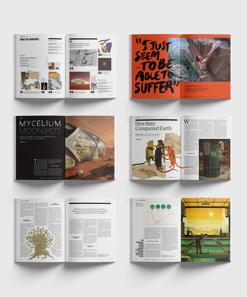 Eight open magazines displayed in two columns and four rows, showing varied article layouts, photographs, illustrations, and text on different topics.