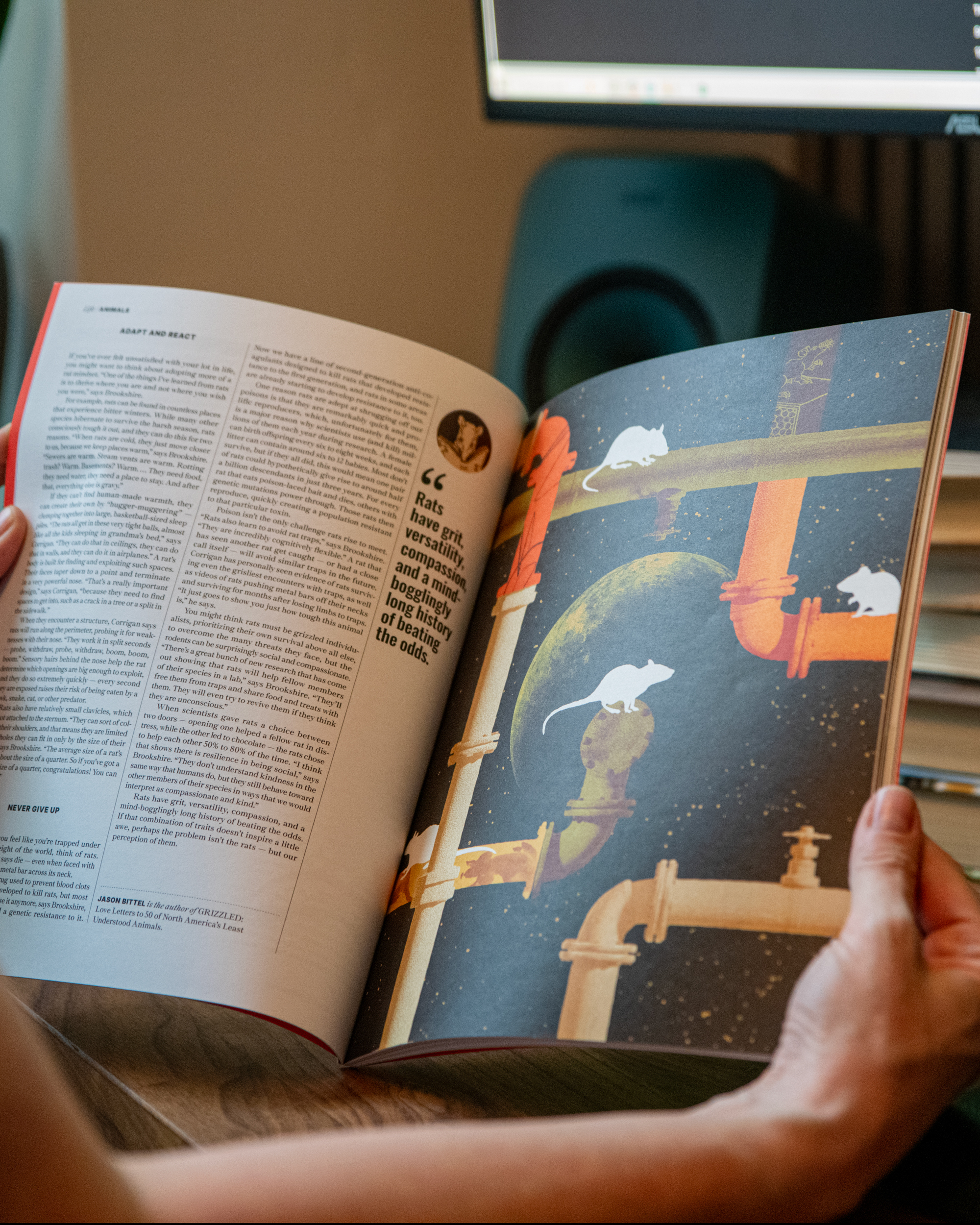 A person holds open a magazine showing an article on the left page and an illustration of white rats on orange pipes with a space background on the right page.