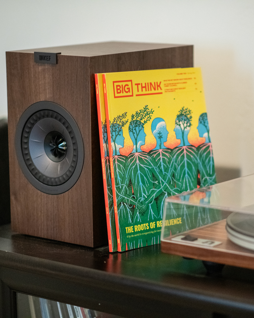 A KEF speaker next to a colorful issue of Big Think magazine titled "The Roots of Resilience," placed atop a dark cabinet with part of a turntable visible.